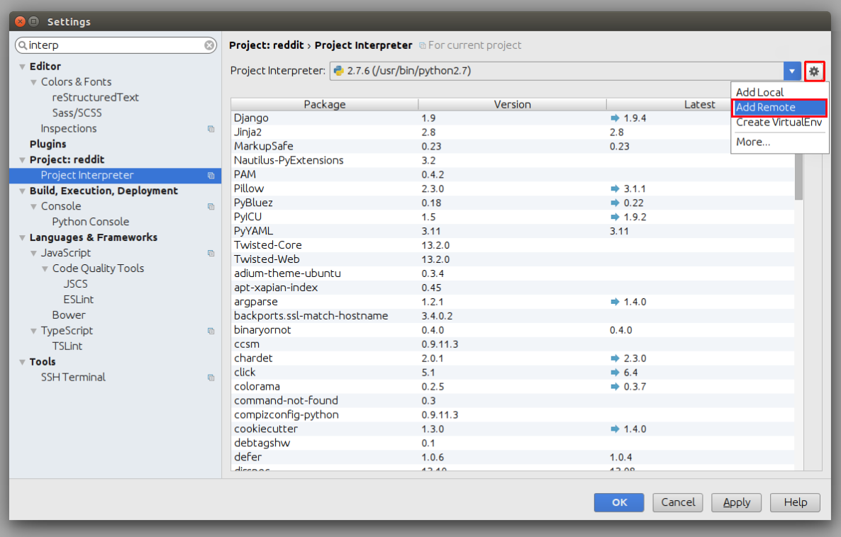 Add Remote Interpreter